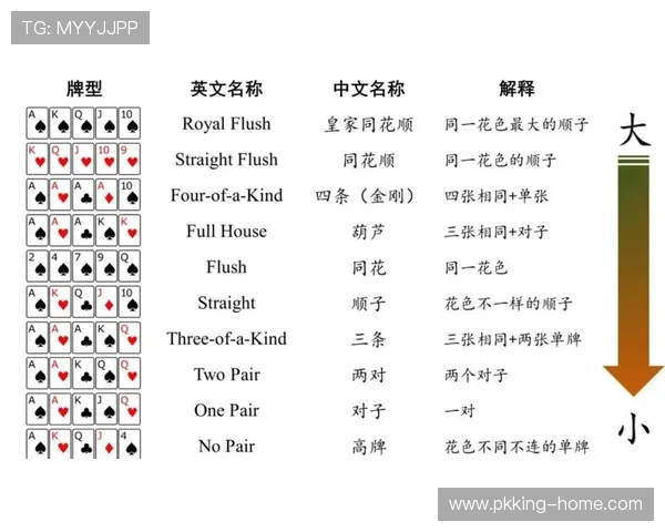 德州扑克网页版入门指南，新手快速掌握游戏规则与操作技巧