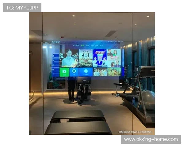 大地娱乐：以用户为中心的个性化娱乐内容提供者