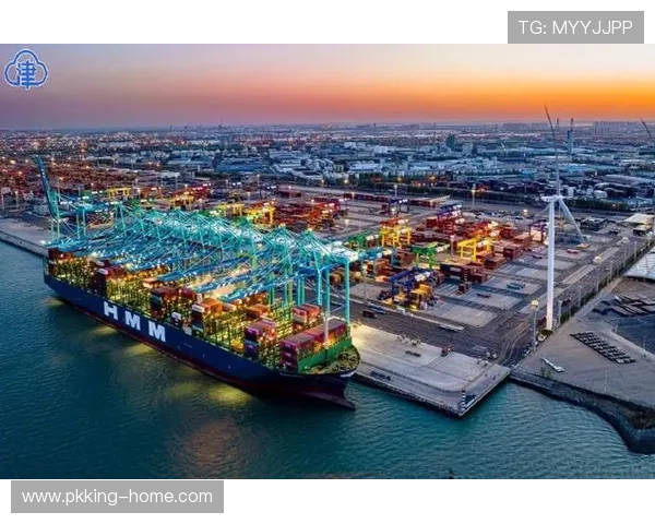 滨海国际港口提升物流能力促进区域经济一体化发展战略