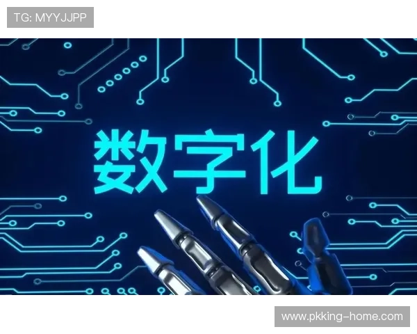 必赢数字站助力企业数字化转型实现新突破